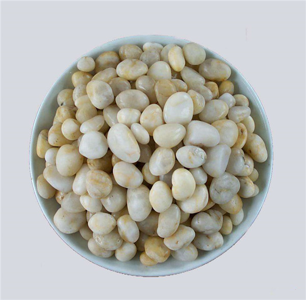 麻豆一级AV片滤料